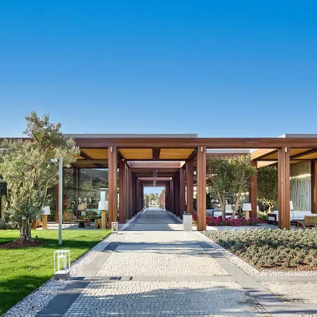 Voyage Complex Torba