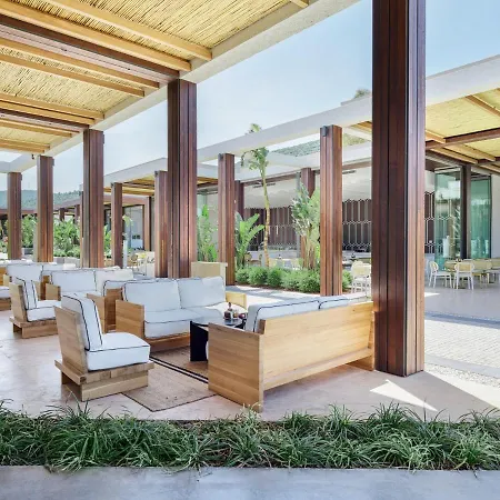 Voyage Complex Torba