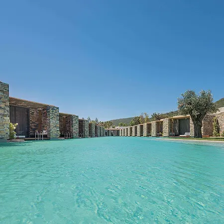 Voyage 5* Torba