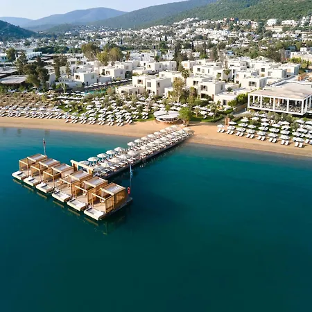 Voyage 5* Torba