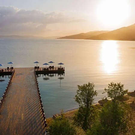 Voyage 5* Torba